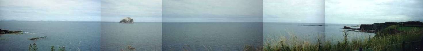 tanpan-a.jpg