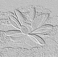 Lotus blossom